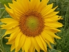 gottesdienst_002